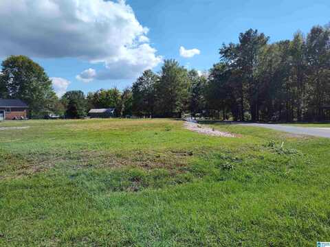 35 GANTTS JUNCTION ROAD, SYLACAUGA, AL 35150