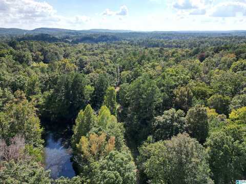 8596 OLD TENNESSEE PIKE ROAD, PINSON, AL 35126