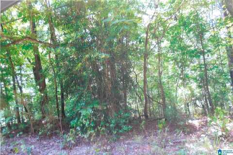 0 COVE ACCESS ROAD, TALLADEGA, AL 35160