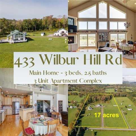 433 Wilbur Hill Road, Butternuts, NY 13849