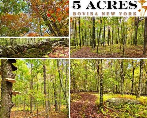 Lot 25 Kara Lane, Bovina, NY 13740