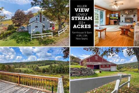 3415 County Highway 14, Franklin, NY 13775