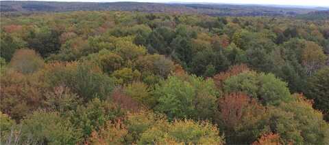 Lot #17 Hammerle Road, Mc Donough, NY 13830