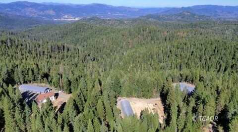 1050 Rowdy Bear Rd, Hayfork, CA 96041