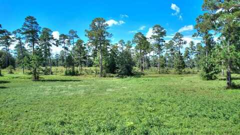 lot 12 BLK A - N Coney Rd, Cordele, GA 31015