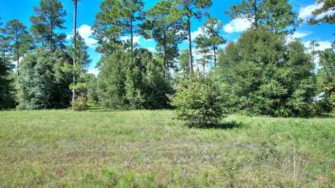 lot 13 BLK A - N Coney Rd, Cordele, GA 31015