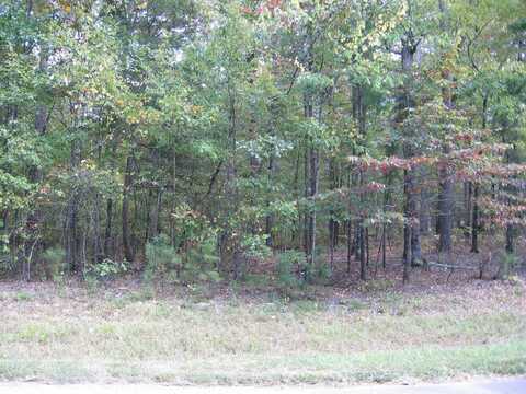 2 VILLACARRIEDO DRIVE, Hot Springs Village, AR 71909