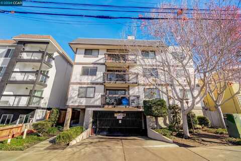 417 Evelyn Ave, Albany, CA 94706