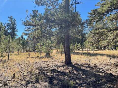 118 Haystack Road, Hartsel, CO 80449