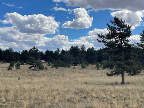 1035 Guipago Trail, Hartsel, CO 80449