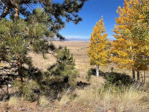 439 Corral Road, Hartsel, CO 80449