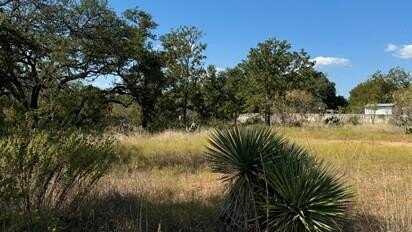 TBD Live Oak St, Fredericksburg, TX 78624