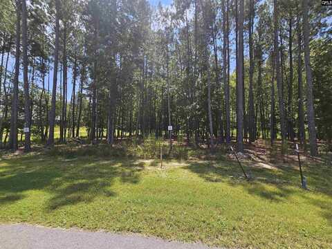 0 Stewart Landing Drive, Prosperity, SC 29127