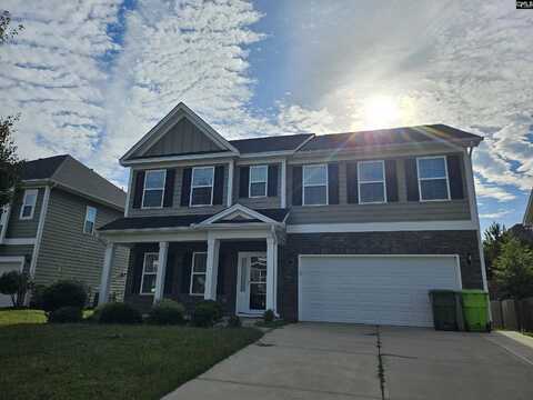 419 Maria Posada Court, Chapin, SC 29036