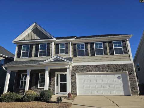 419 Maria Posada Court, Chapin, SC 29036