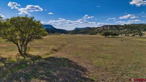 4107 Road 31 Cahone, Cahone, CO 81320