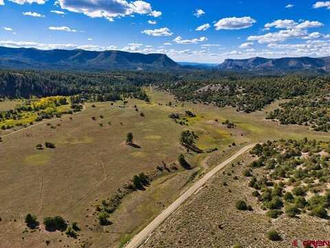 4107 Road 31 Cahone, Cahone, CO 81320