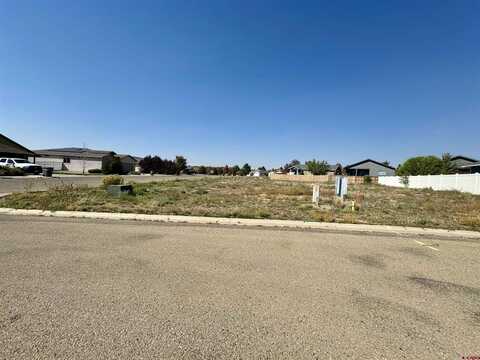 TBD Bluffs Blvd Boulevard, Cortez, CO 81321