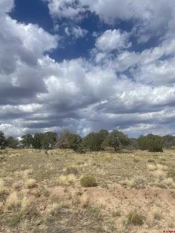 TBD CL&G, Walsenburg, CO 81089