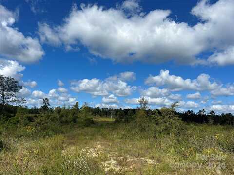 60 Ac Shannon Road, Blackstock, SC 29014