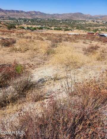 Vac/Madler St/Iowa Ave, Acton, CA 93510