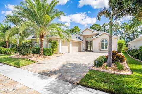 3043 Borassus Drive, New Smyrna Beach, FL 32168