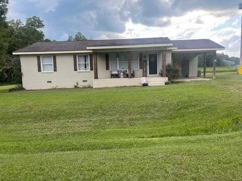 495 Sugar Creek Road, Helena, GA 31055