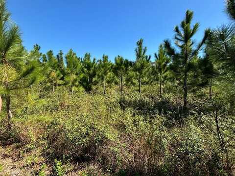 Lot 1 50th Ave, Bell, FL 32619