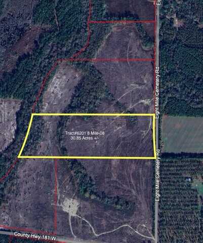 Tract#6201 8 Mile Cemetery Road, DeFuniak Springs, FL 32433