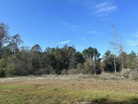Tract#6201 W County Hwy 181, DeFuniak Springs, FL 32433