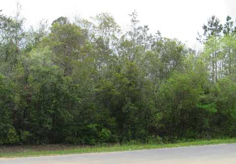 Lots 22-23 Trout Drive, DeFuniak Springs, FL 32433