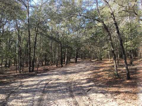 33 Acres Aplin Road, Crestview, FL 32539