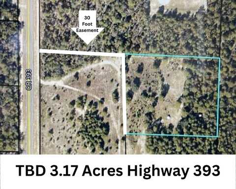 Tbd 3.17 AC highway 393 Highway, Crestview, FL 32539