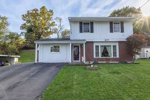 217 Lee Ave, Horseheads, NY 14845