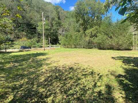 86 Lick Creek Rd, Williamson, WV 25661