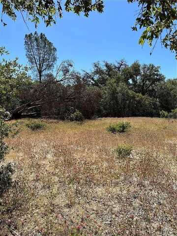 4994 Whitmore Drive, Mariposa, CA 95338