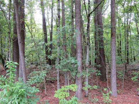 0 Lick Creek Road, Sanford, NC 27330