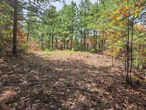 288 Deer Path Trail, Franklin, NC 28734