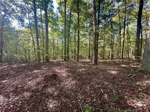 0 Mincey Acres Drive, Murrayville, GA 30564