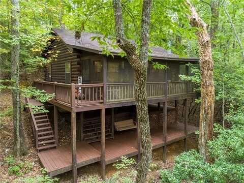 121 Ascherman Court, Cherry Log, GA 30513