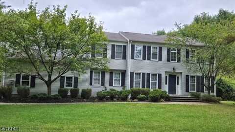 698 Deerfield Ln, Union, NJ 08802