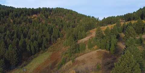 Chestnut Road, Bozeman, MT 59715