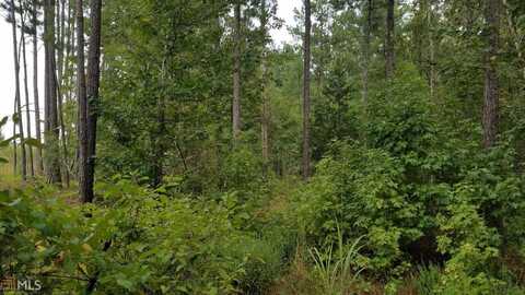 Lot 4 Old Talbotton & Gordon School Rd, Thomaston, GA 30286