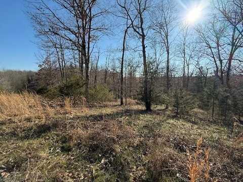 000 County Road 355 Lot 12, Dora, MO 65637