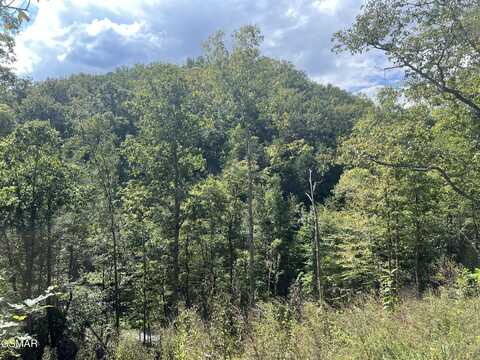 272 Cove Hollow Road, Cosby, TN 37722