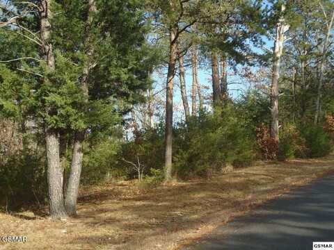 Lot 1 Cobblestone Lane, Dandridge, TN 37725