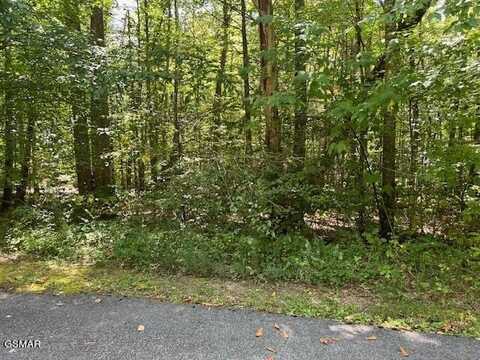 Lot 5/6 Ardell Way, Cosby, TN 37722