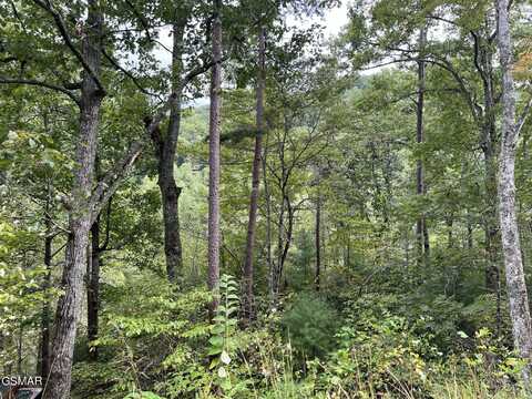 Lot 5 Sunset Road, Sevierville, TN 37862