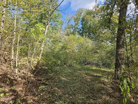 Lot 22 &23 Clear Springs Gulch, Sevierville, TN 37862