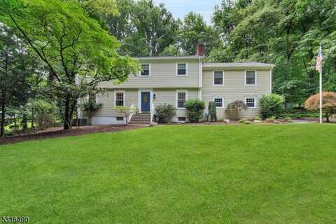 8 Barnfield Ct, Upper Saddle River, NJ 07458